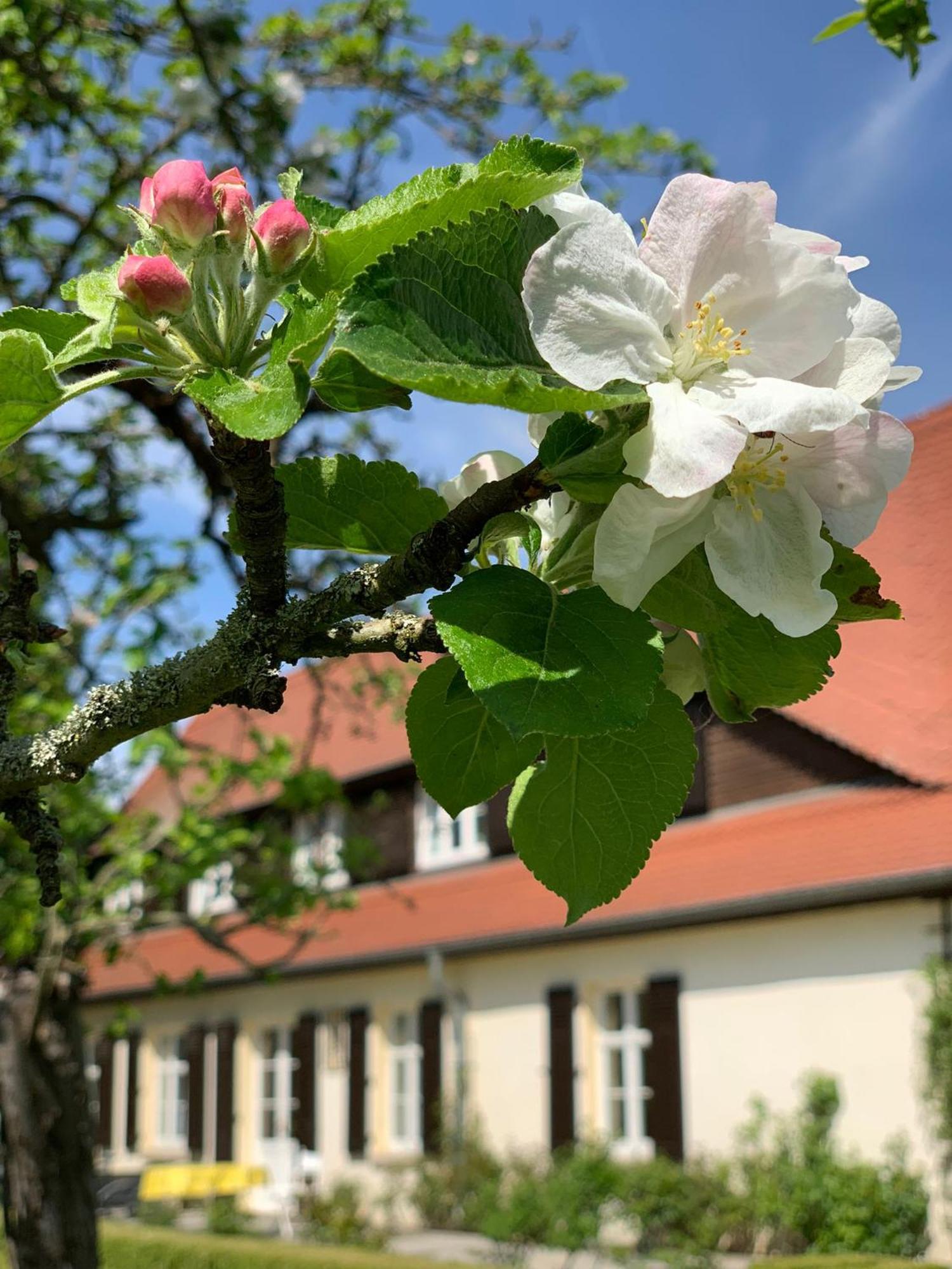 Landhaus Saaleck 萨勒河畔瑙姆堡 外观 照片