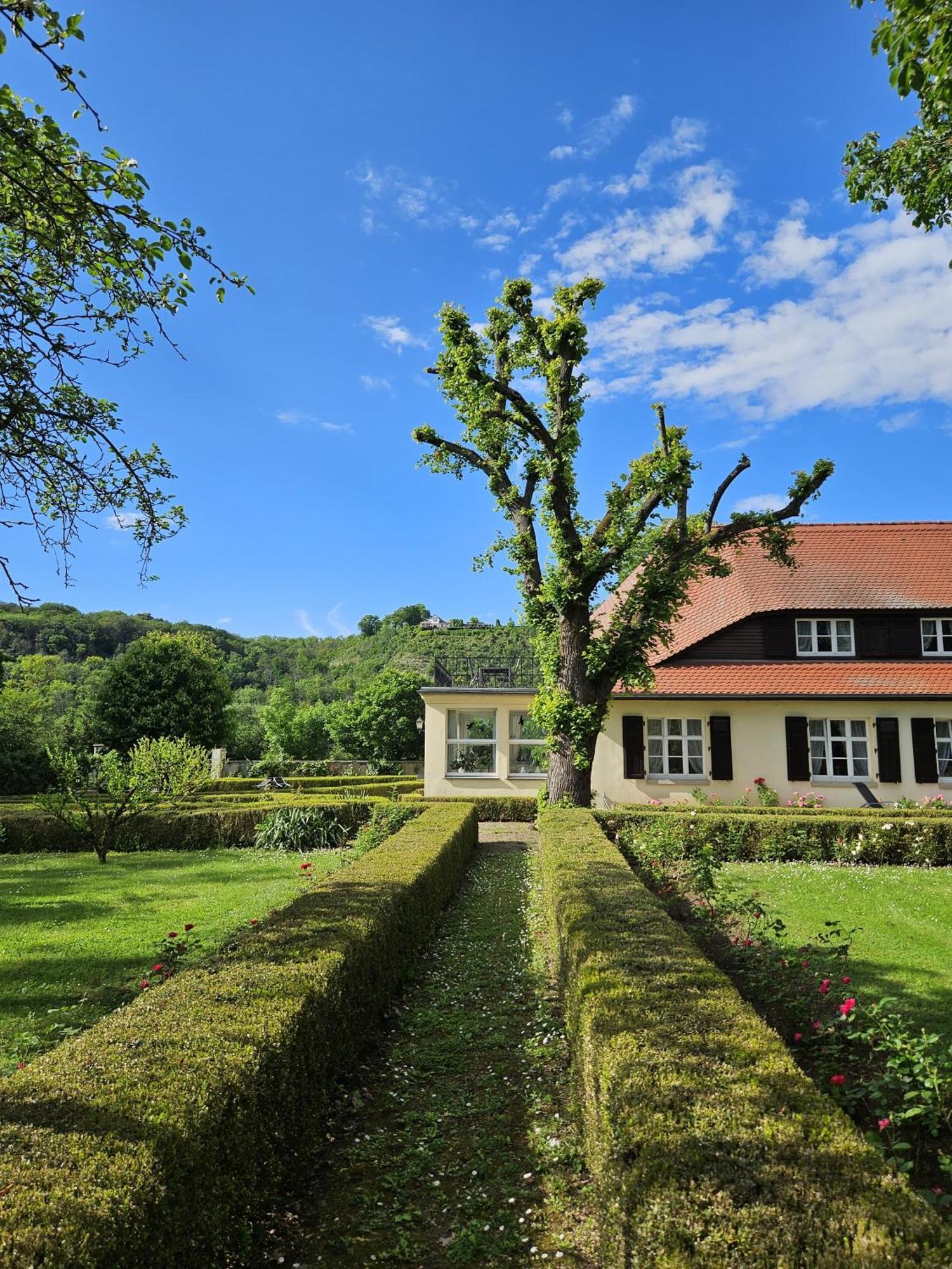 Landhaus Saaleck 萨勒河畔瑙姆堡 外观 照片